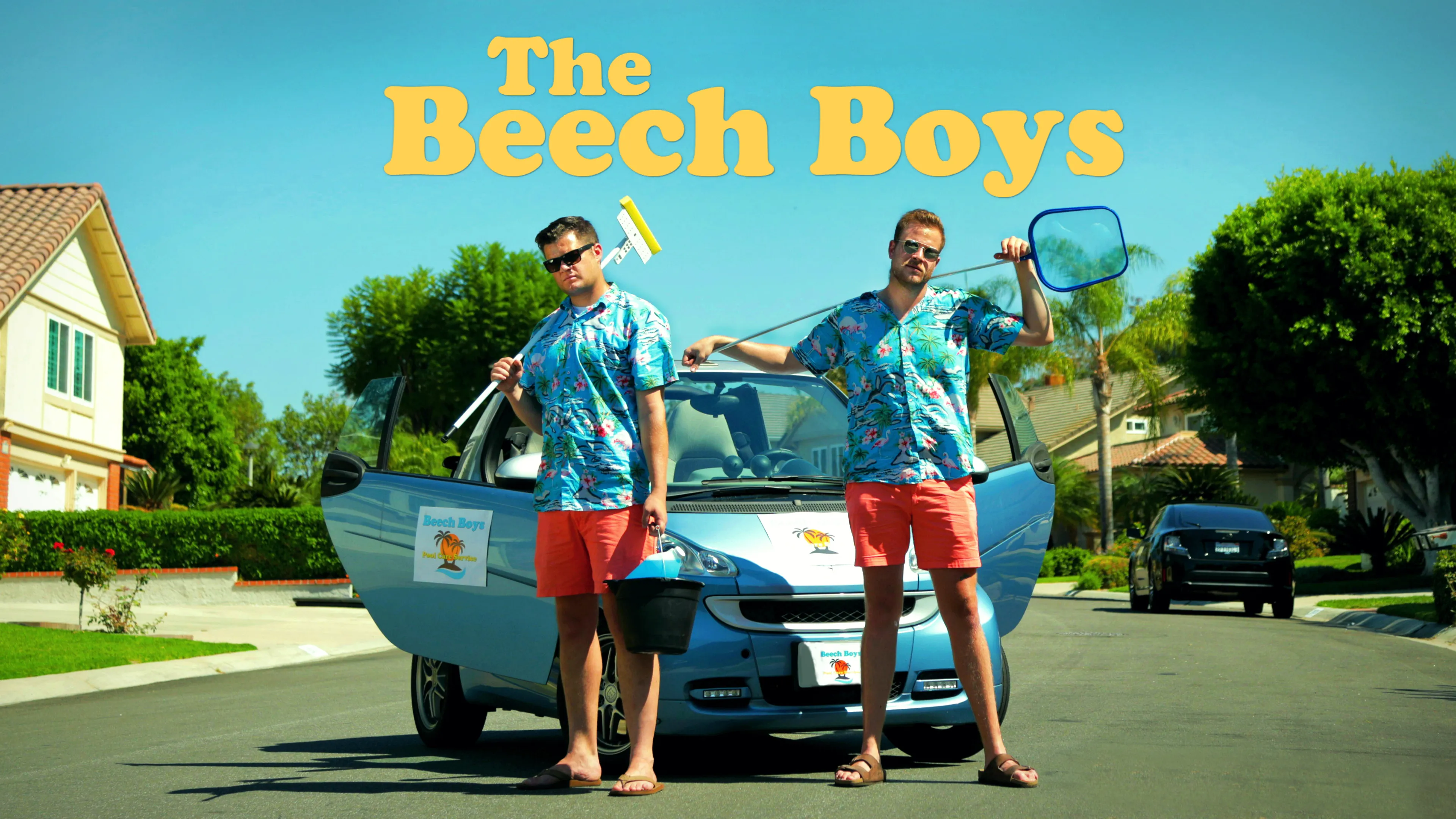 The Beech Boys poster